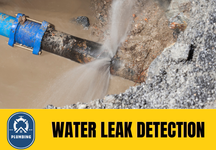 leak detection Runcorn